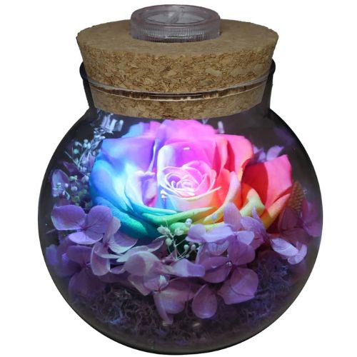 Preserved Real Roses With Mood Lights